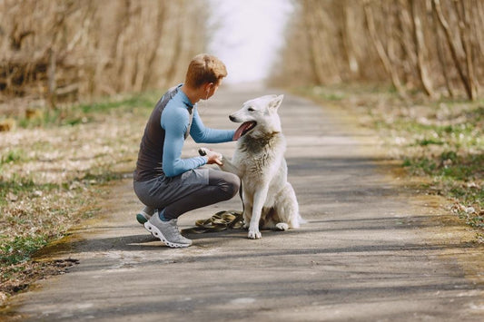Why Do People Keep Pets? - PawsClawsBoutique