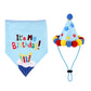 Birthday Hat & Bandana Set