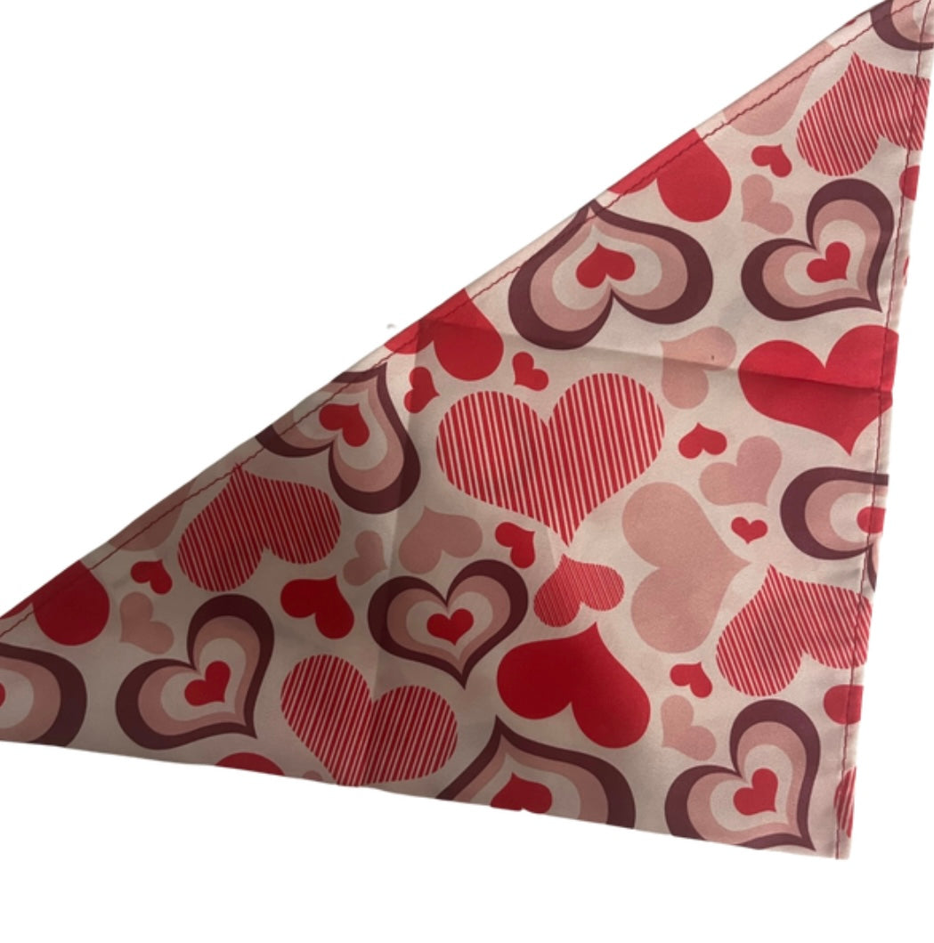 Valentines XOXO Collection