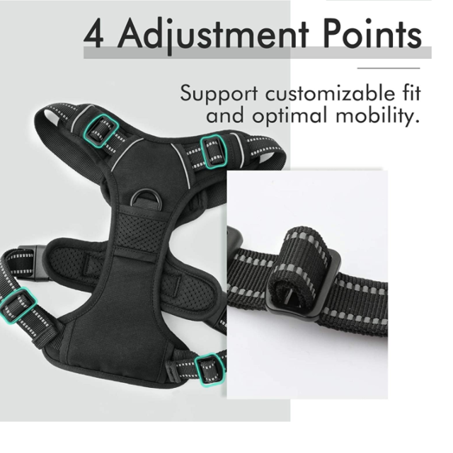 Black Harness