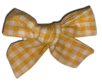 Hair Bows
